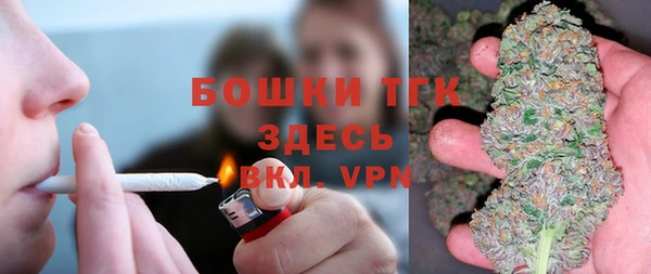 сатива Арсеньев