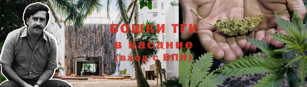сатива Арсеньев